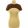 Shein barna top